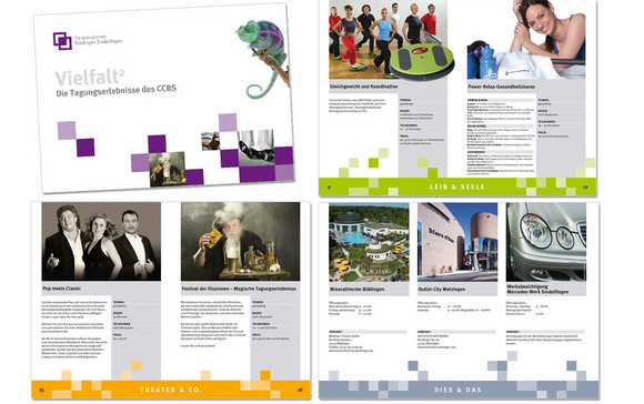 Freework Grafik-Design Referenz Print: Programmheft 2012